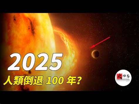 2025年什麼年|2025年